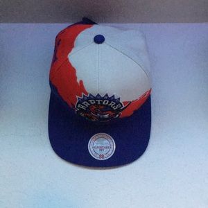 Toronto Raptors Hat